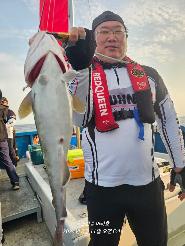 공현진아라호 의 조황일지 이미지 - 6