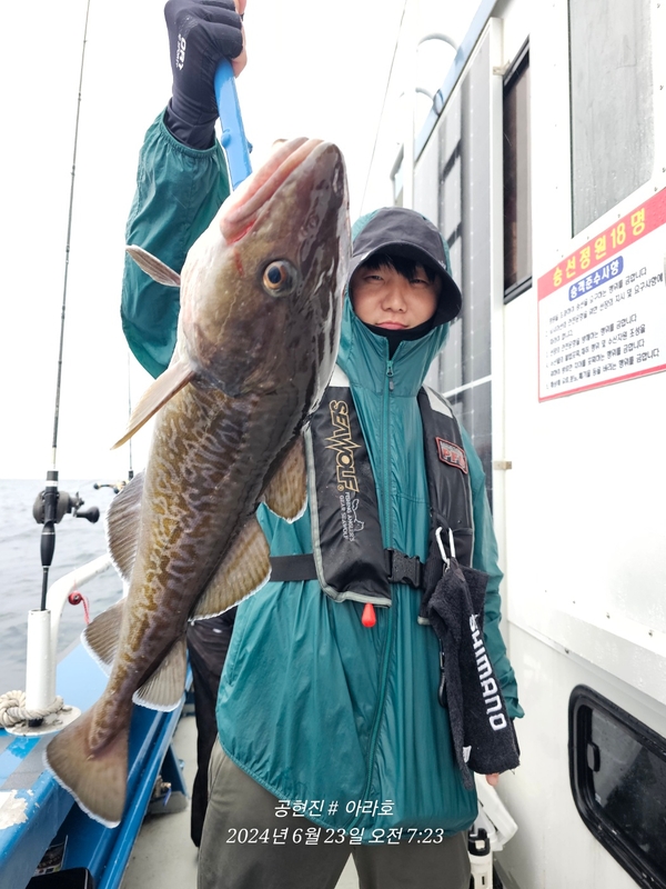 공현진아라호 의 조황일지 이미지 - 3