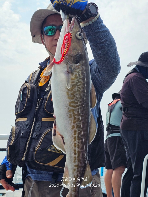 공현진아라호 의 조황일지 이미지 - 4