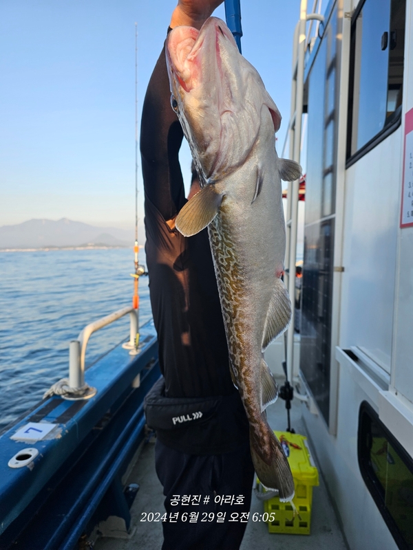 공현진아라호 의 조황일지 이미지 - 16