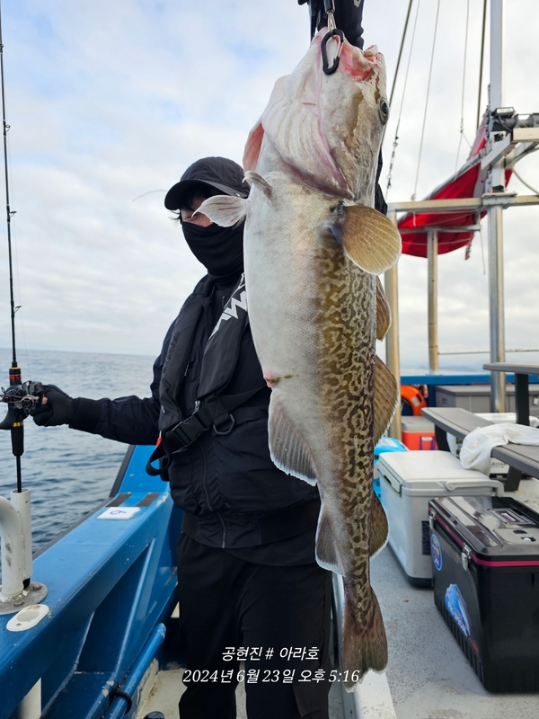 공현진아라호 의 조황일지 이미지 - 9