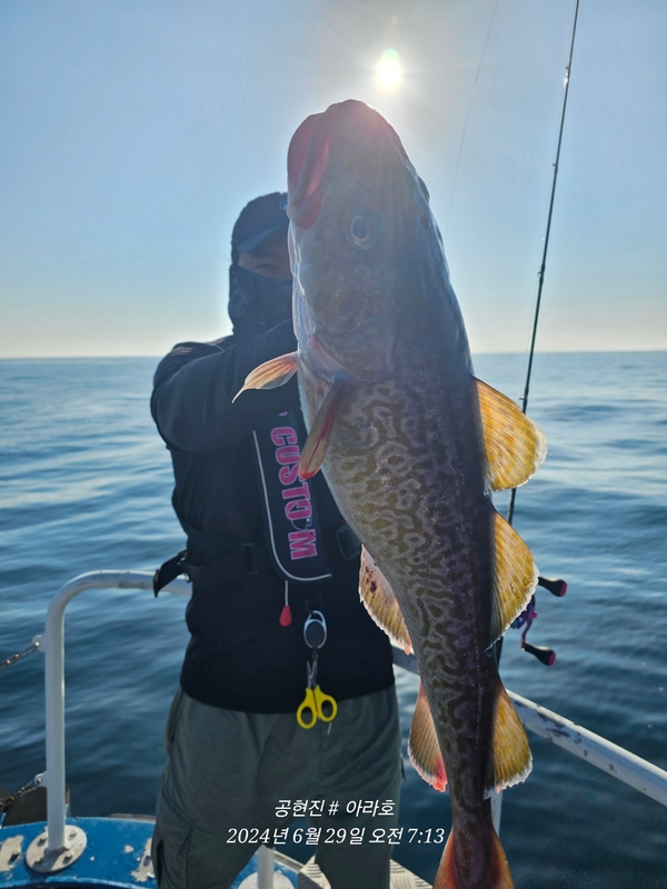 공현진아라호 의 조황일지 이미지 - 2