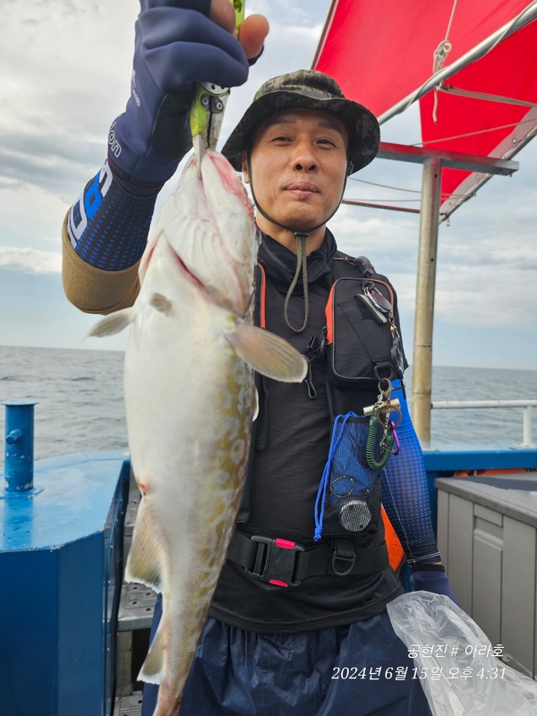 공현진아라호 의 조황일지 이미지 - 9