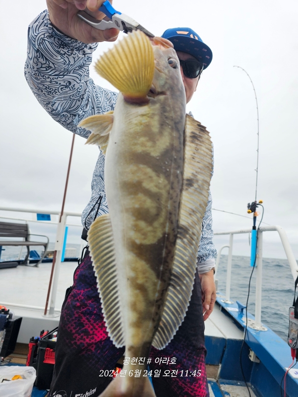 공현진아라호 의 조황일지 이미지 - 3