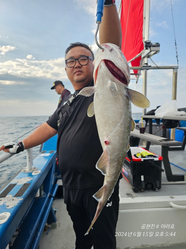 공현진아라호 의 조황일지 이미지 - 12