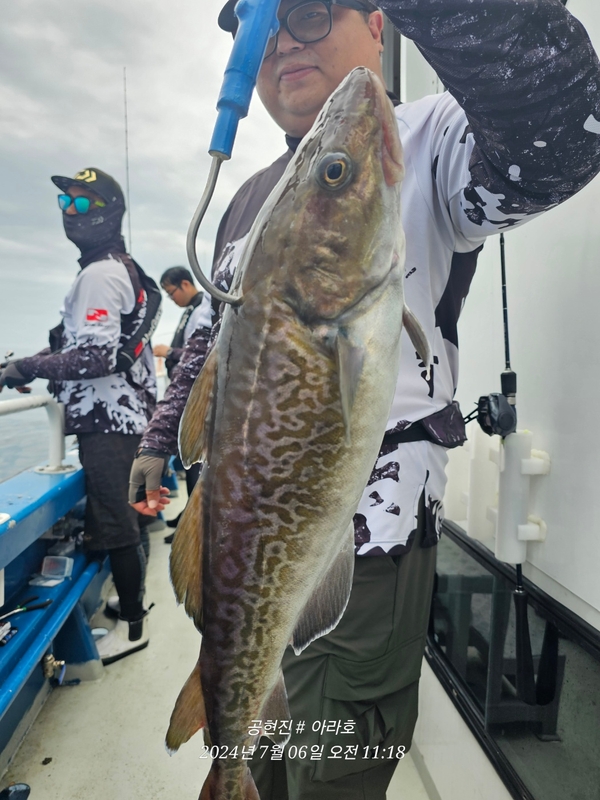 공현진아라호 의 조황일지 이미지 - 6