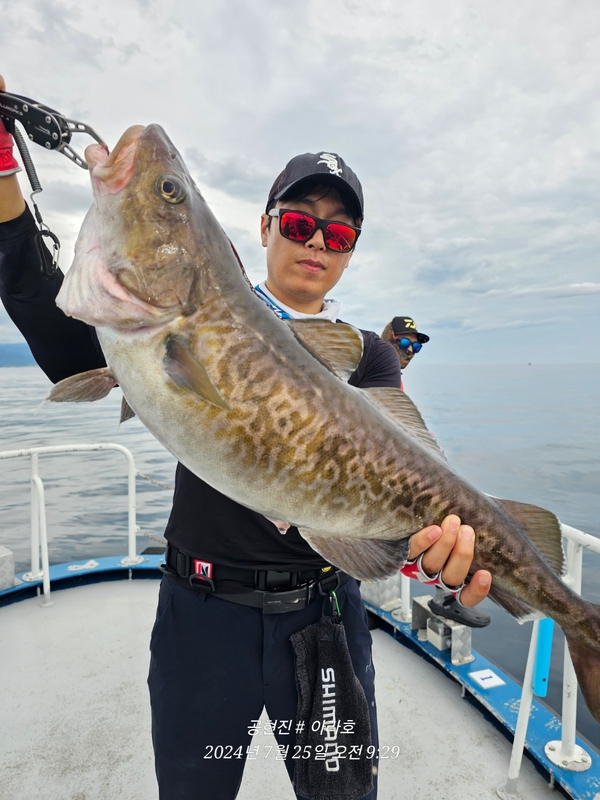 공현진아라호 의 조황일지 이미지 - 9