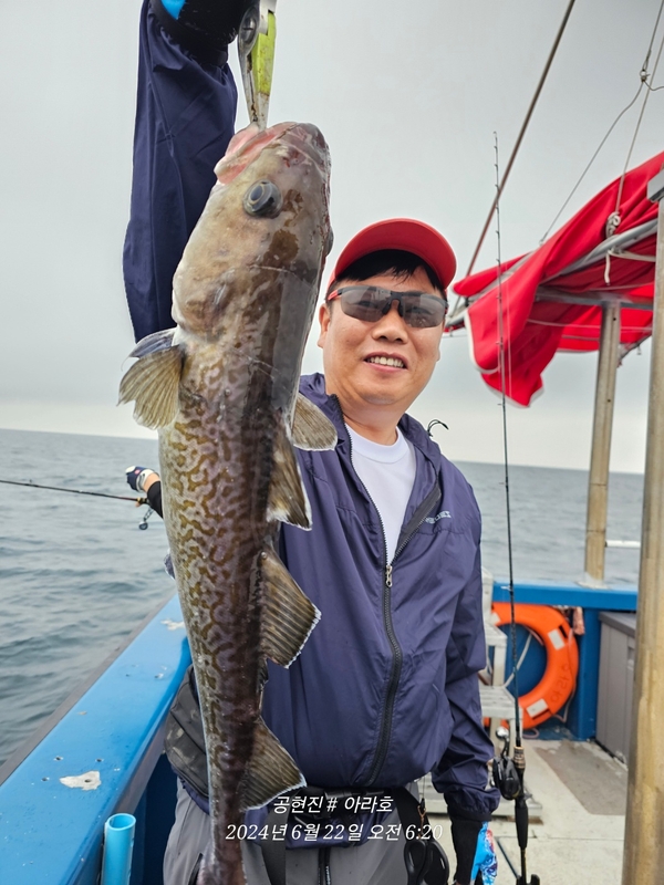 공현진아라호 의 조황일지 이미지 - 7