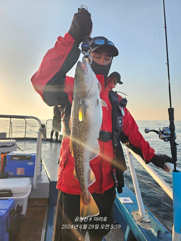 공현진아라호 의 조황일지 이미지 - 18