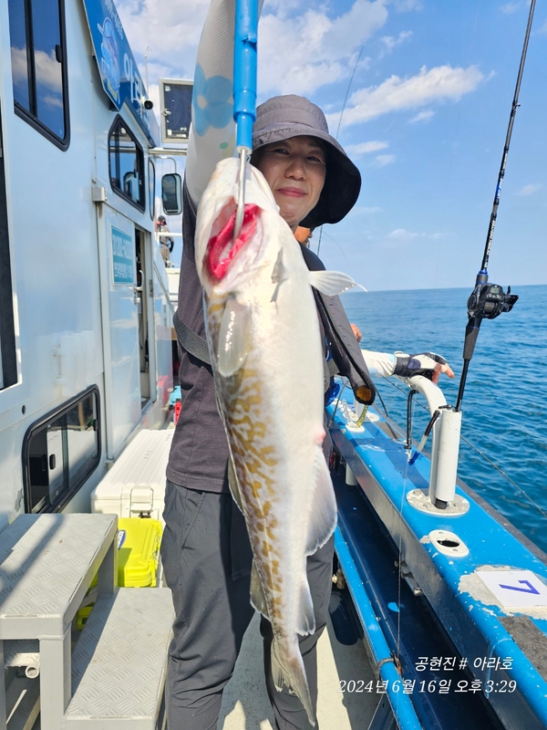 공현진아라호 의 조황일지 이미지 - 3