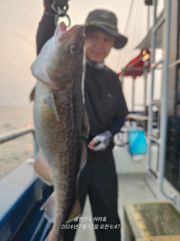 공현진아라호 의 조황일지 이미지 - 6