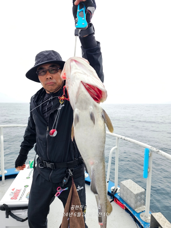 공현진아라호 의 조황일지 이미지 - 3