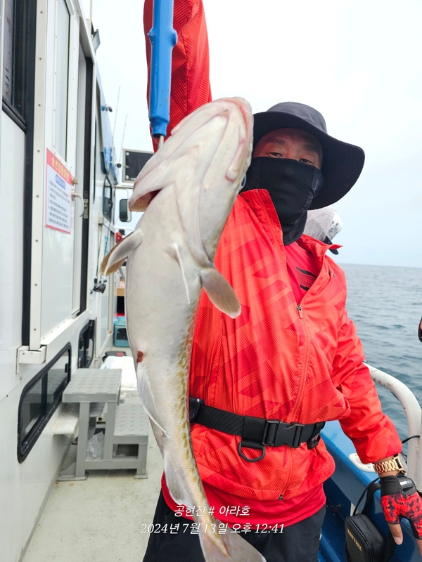 공현진아라호 의 조황일지 이미지 - 5