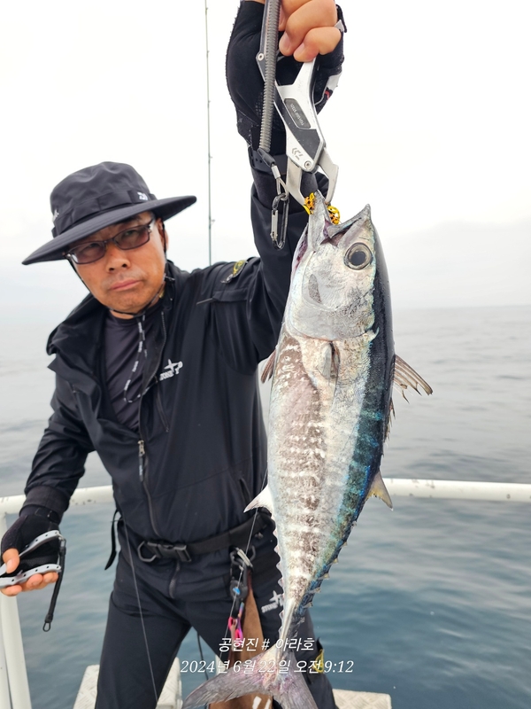 공현진아라호 의 조황일지 이미지 - 5