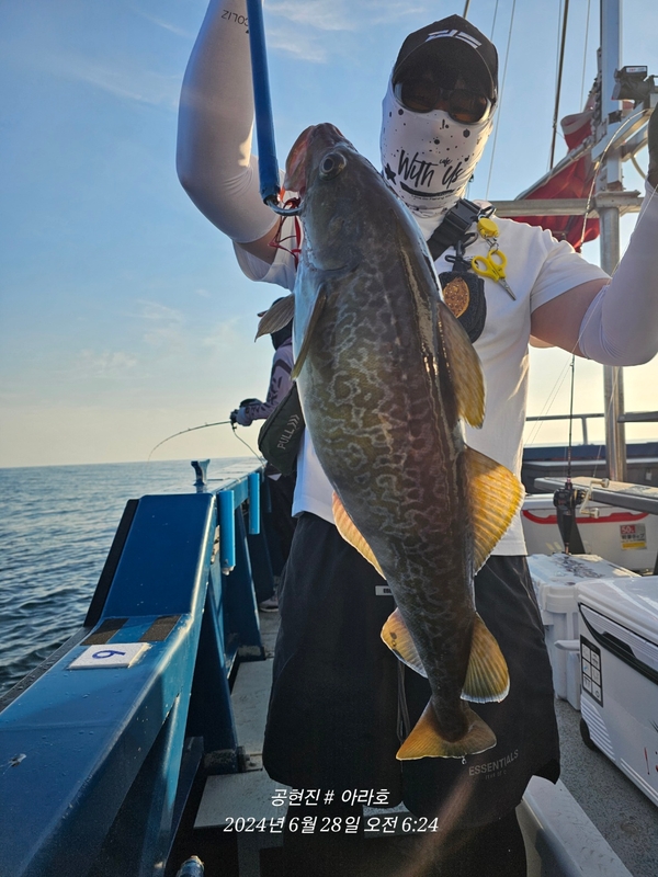 공현진아라호 의 조황일지 이미지 - 3