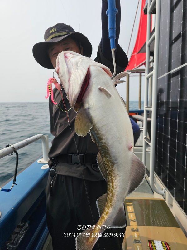 공현진아라호 의 조황일지 이미지 - 3