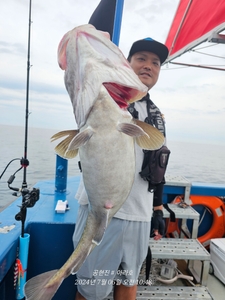 대구타이라바  선상낚시로 잡은 물고기 조황