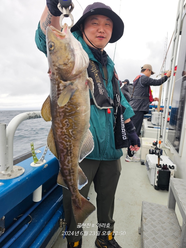 공현진아라호 의 조황일지 이미지 - 5