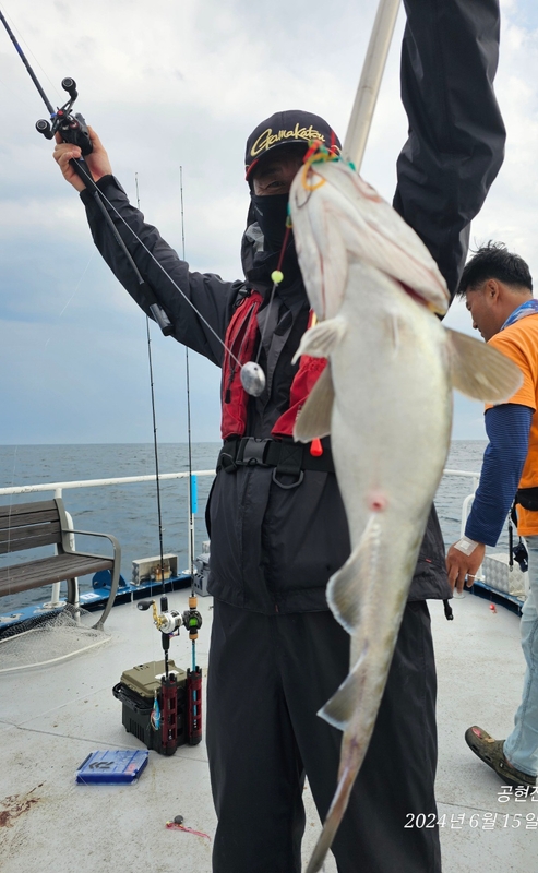 공현진아라호 의 조황일지 이미지 - 10