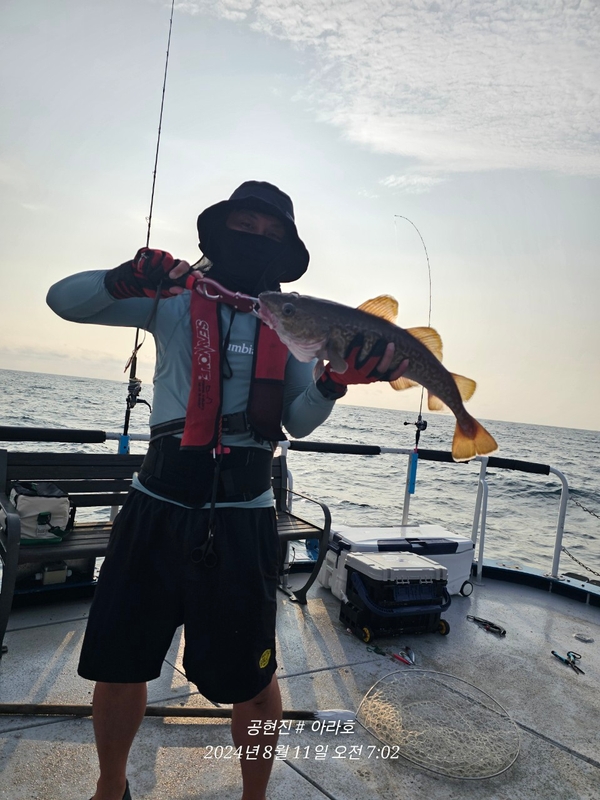 공현진아라호 의 조황일지 이미지 - 8