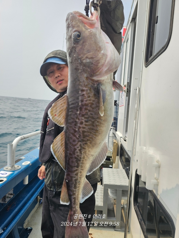 공현진아라호 의 조황일지 이미지 - 2