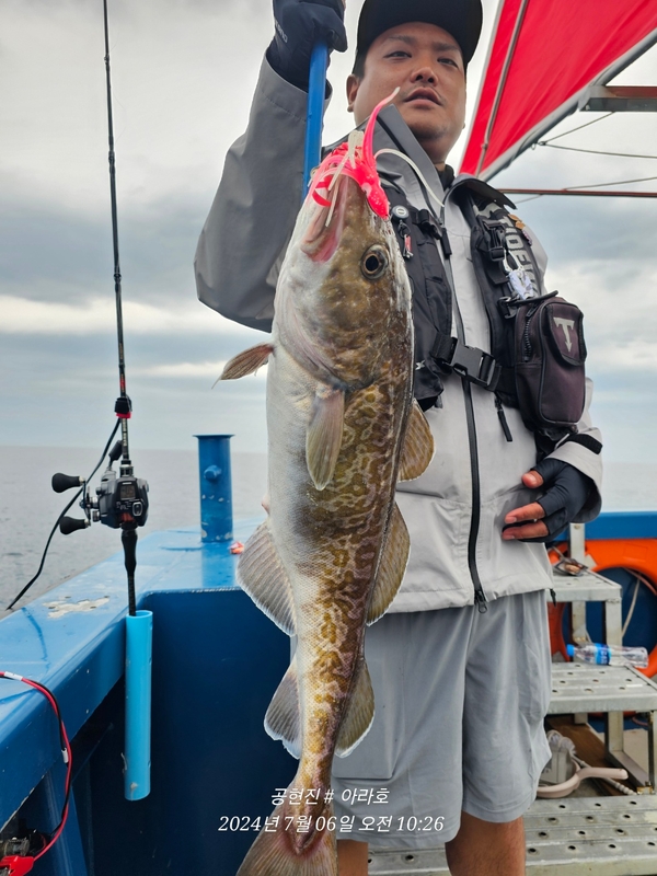 공현진아라호 의 조황일지 이미지 - 12