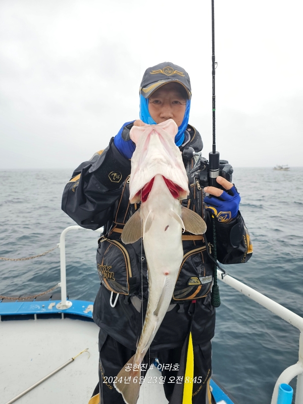 공현진아라호 의 조황일지 이미지 - 7