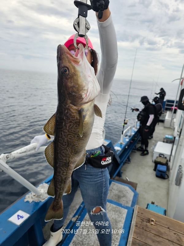 공현진아라호 의 조황일지 이미지 - 13