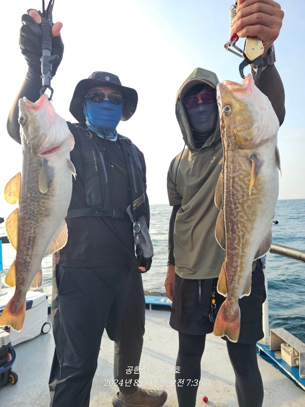 공현진아라호 의 조황일지 이미지 - 2