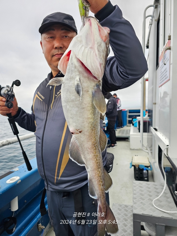 공현진아라호 의 조황일지 이미지 - 10