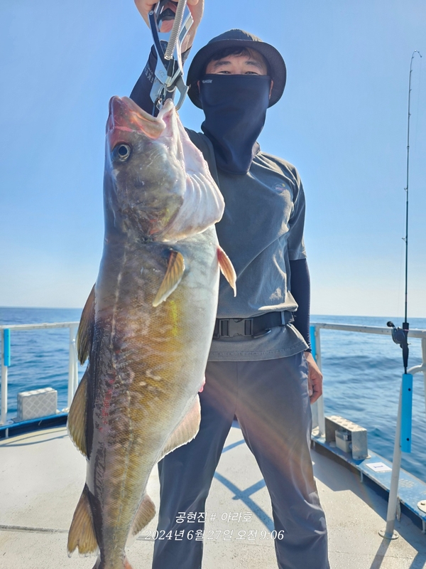 공현진아라호 의 조황일지 이미지 - 2