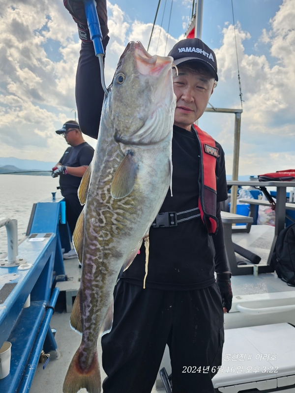 공현진아라호 의 조황일지 이미지 - 9