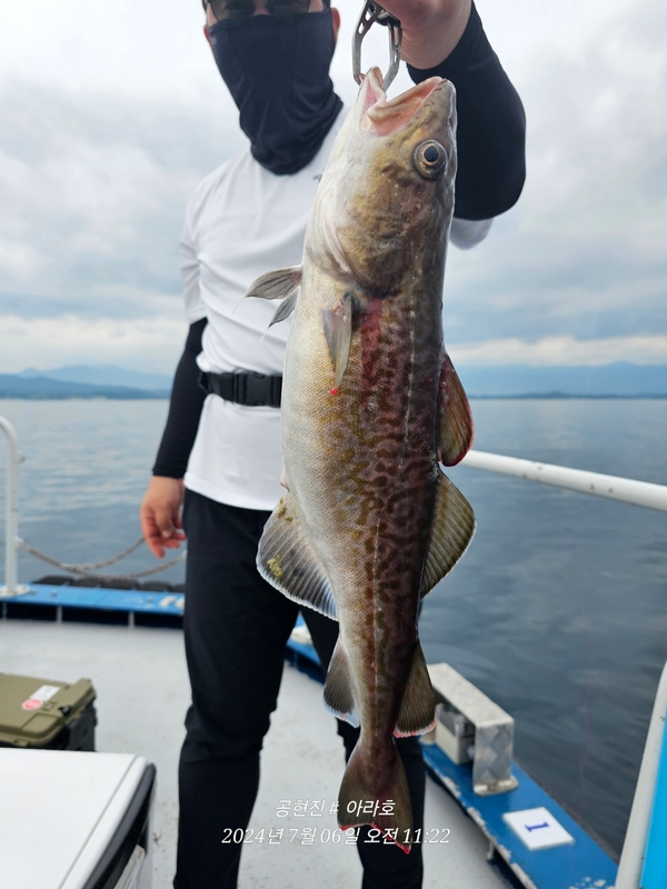 공현진아라호 의 조황일지 이미지 - 9