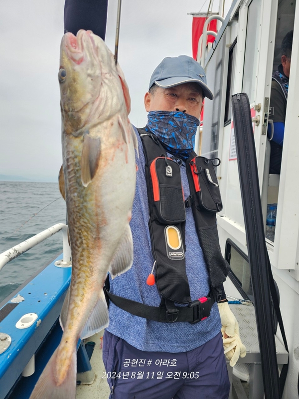 공현진아라호 의 조황일지 이미지 - 10