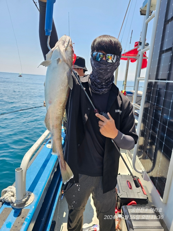 공현진아라호 의 조황일지 이미지 - 16