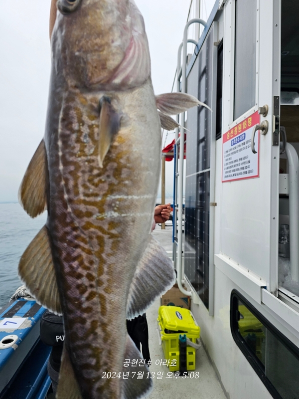 공현진아라호 의 조황일지 이미지 - 0