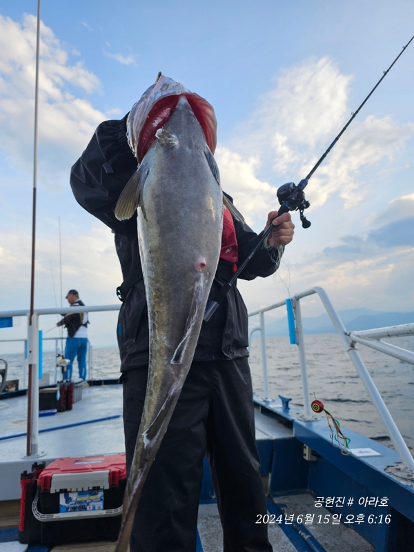 공현진아라호 의 조황일지 이미지 - 14