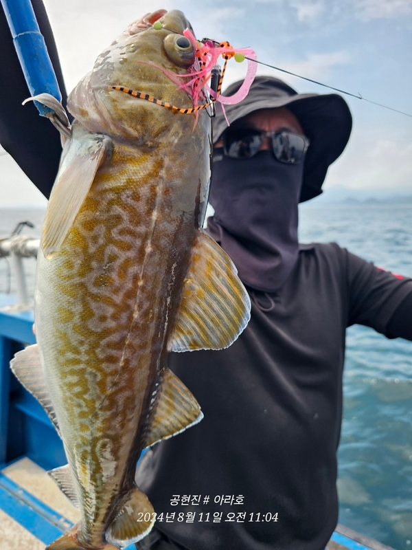 공현진아라호 의 조황일지 이미지 - 13