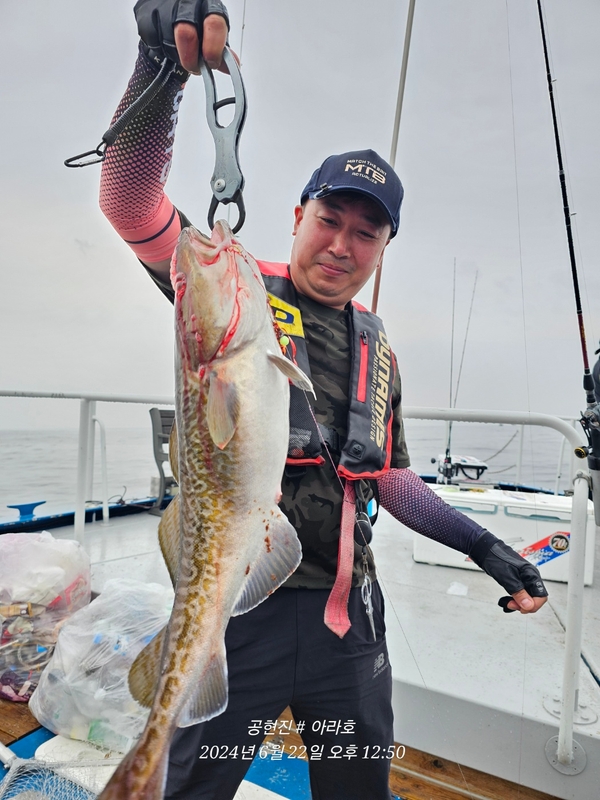 공현진아라호 의 조황일지 이미지 - 13