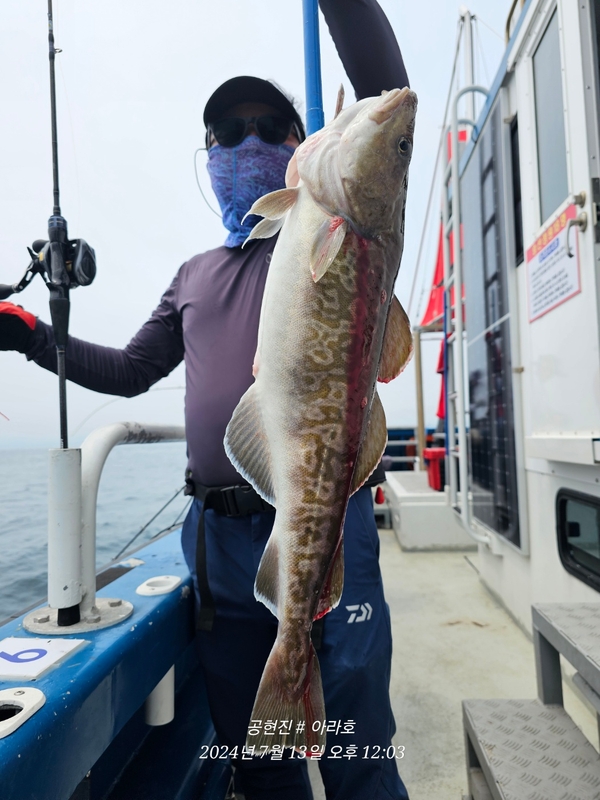 공현진아라호 의 조황일지 이미지 - 8