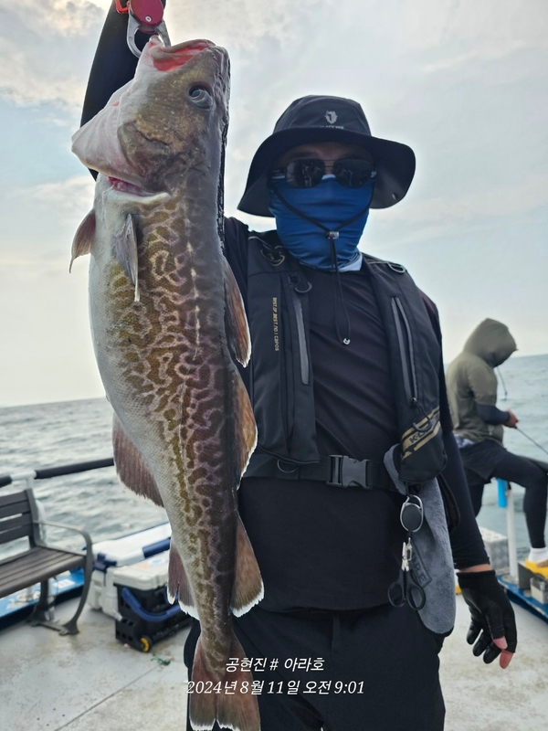 공현진아라호 의 조황일지 이미지 - 12