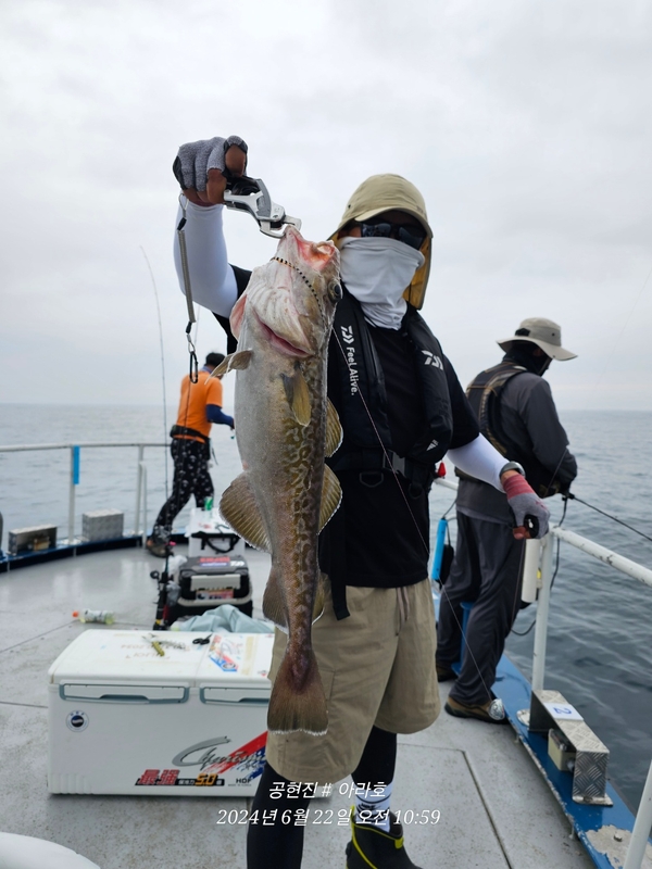 공현진아라호 의 조황일지 이미지 - 8