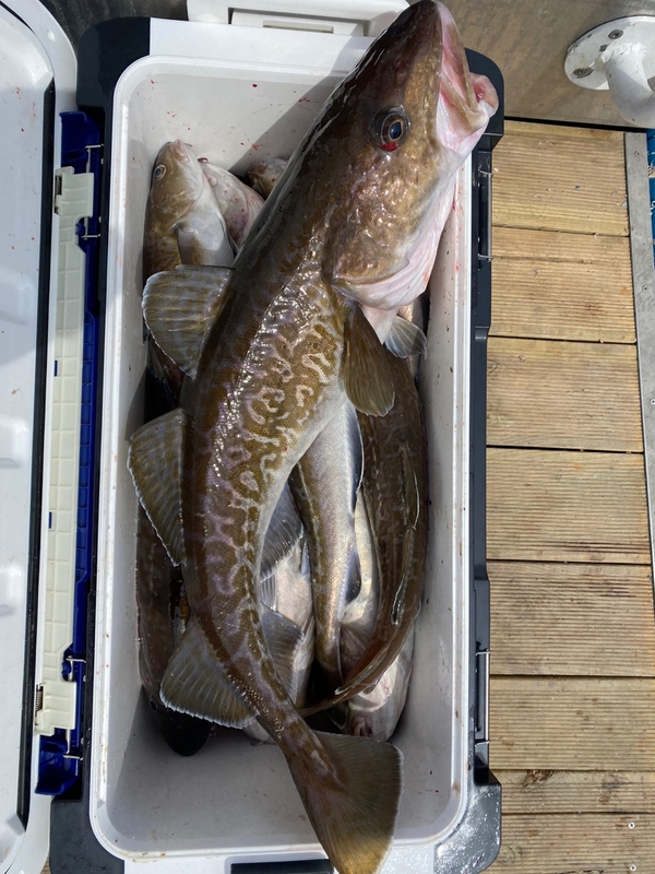 해당 선사를 대표하는 이미지