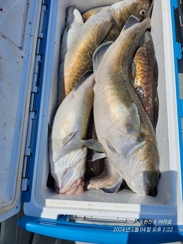 해당 선사를 대표하는 이미지