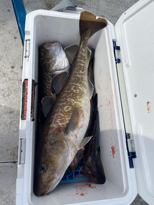 해당 선사를 대표하는 이미지