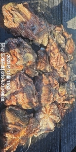 [군산 드래곤호] 11/15 군산 "문어" 그 어느때보다 소중한조황~ 선상낚시로 잡은 물고기 조황