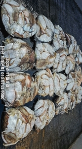 [군산 드래곤호] 11/5 군산 "찰갑이" 먼바다~! 깊은수심~! 굿조황 선상낚시로 잡은 물고기 조황