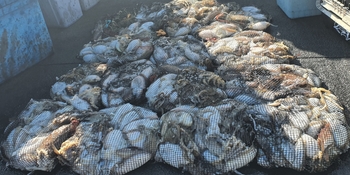 실시간 예약이 가능한 바다 위에 떠있는 [군산 드래곤호] 낚시 선박