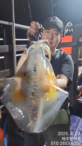 제주왔어호((9.77톤)) 8월 23일 저녁반과 24일 새벽반무늬오징어  선상낚시로 잡은 물고기 조황