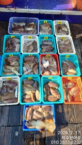 제주왔어호((9.77톤)) 2월 17일 갑오징어 조황 선상낚시로 잡은 물고기 조황